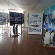 Viareggio: Mostra video-fotografica viaggi Antartide