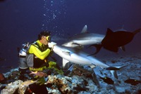Marco Eletti mentre bacia uno squalo