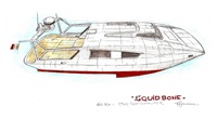 Squid-Bone-17m